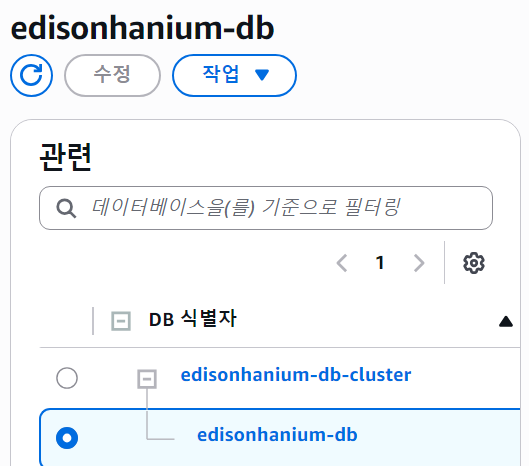 edisonhanium-db-cluster 아래에 edisonhanium-db 인스턴스가 들어가 있는 RDS 콘솔 화면