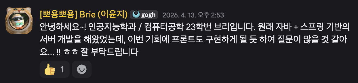 멘토링 디스코드 채널에 올린 자기소개 메시지